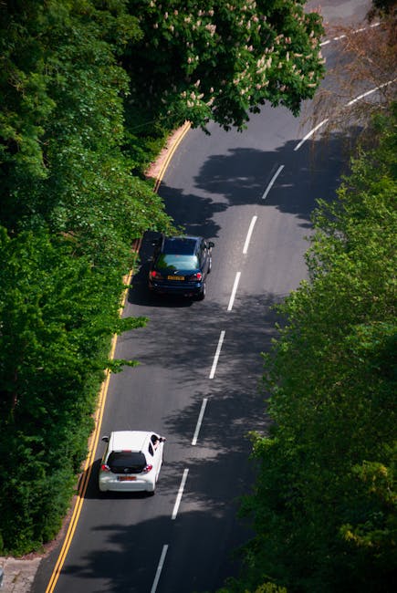 An aerial view of a narrow, two-lane residential street lined with dense green foliage on both sides. The road features a dashed white centre line and solid yellow edge markings. A dark blue van, like