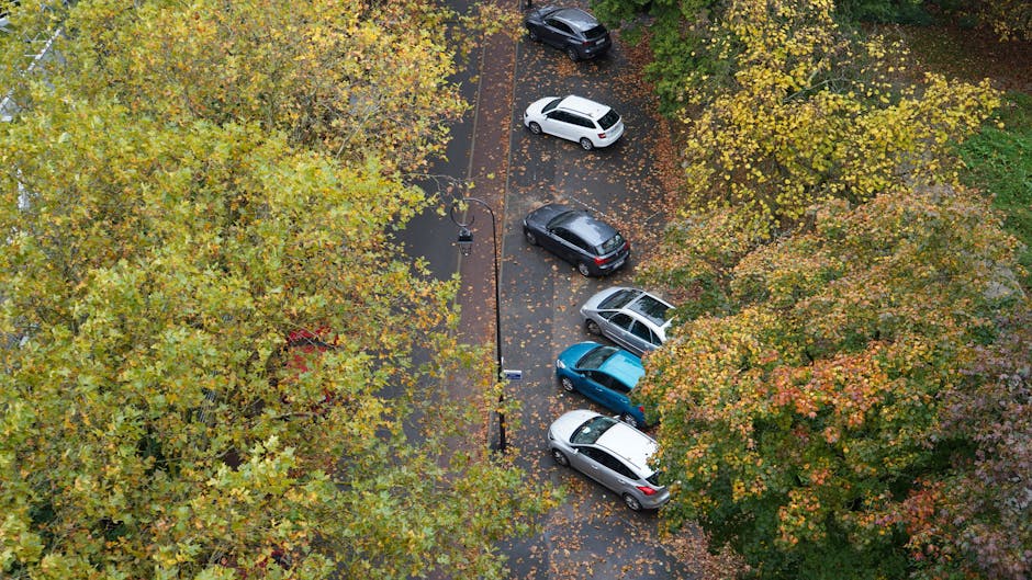 An aerial view of a narrow residential street during autumn, showing several parked cars in a designated parking area next to a pavement lined with trees covered in yellow, orange, and green leaves. The cars include a white hatchback, a grey station wagon, a blue compact car, a black SUV, and a silver sedan, with some leaves scattered on their roofs and around the parking space. A black streetlamp stands along the pavement, and the street is lined with dense foliage, indicating the time of year. The environment appears calm and typical for a suburban neighbourhood, with no moving vehicles or pedestrians visible. This scene illustrates the type of parking arrangement relevant to house relocations and furniture transport considerations, as managed by companies like Man With a Van Coulsdon for efficient home moving and removal services, especially within Croydon Council's parking regulations.